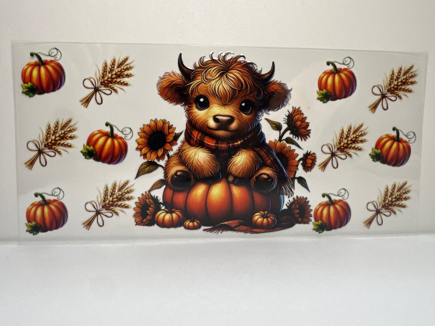 F393 Fall time pumpkin cow