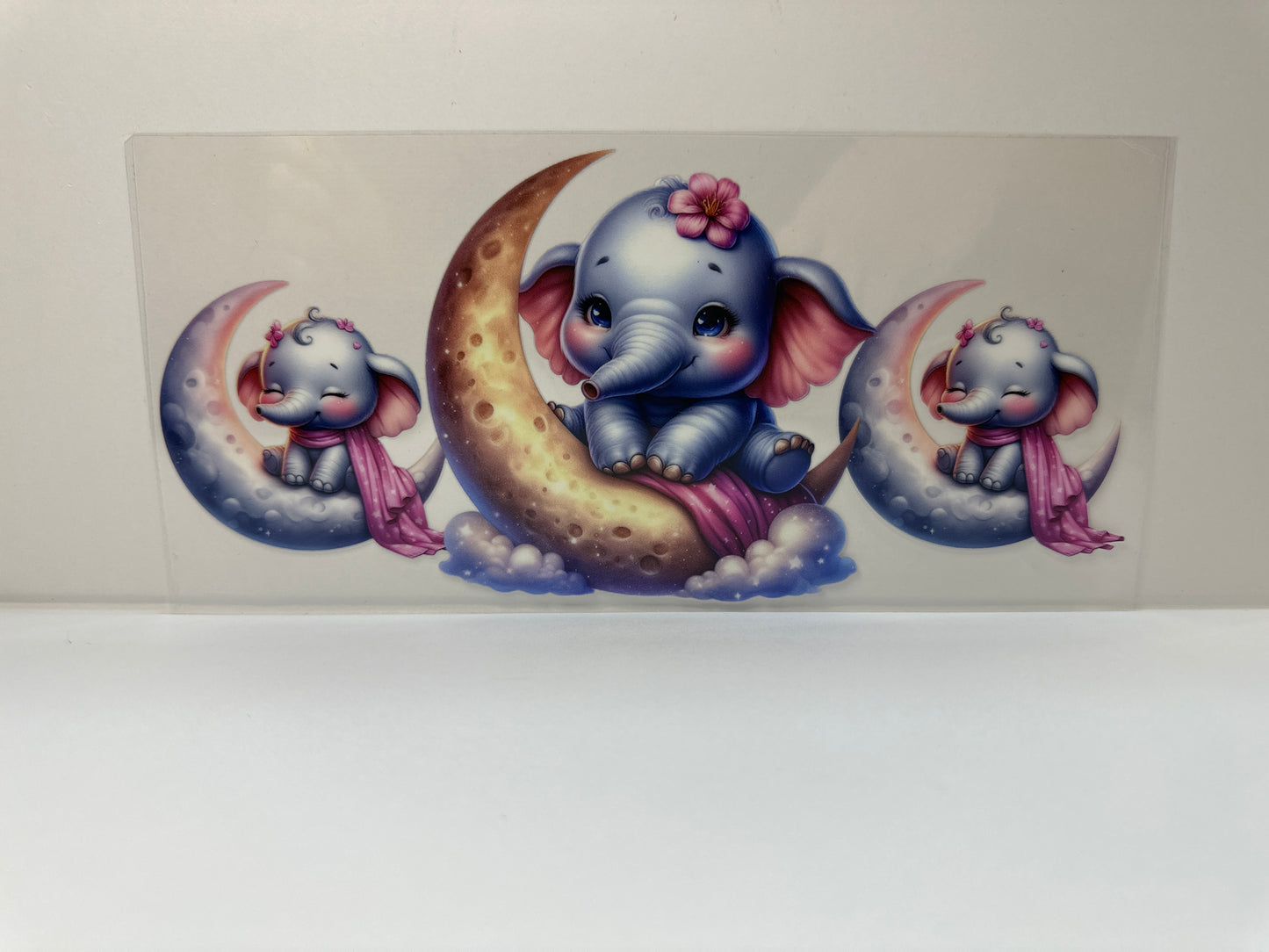 F461 nighttime elephant