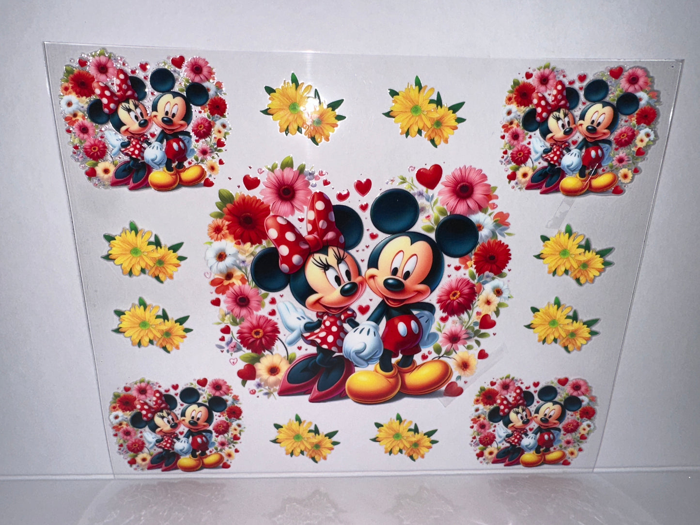 H2068 24oz Micky and Minnie