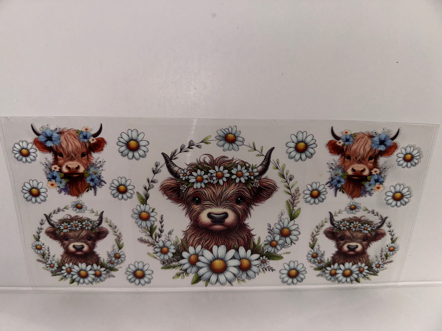 H135 cow with flowers