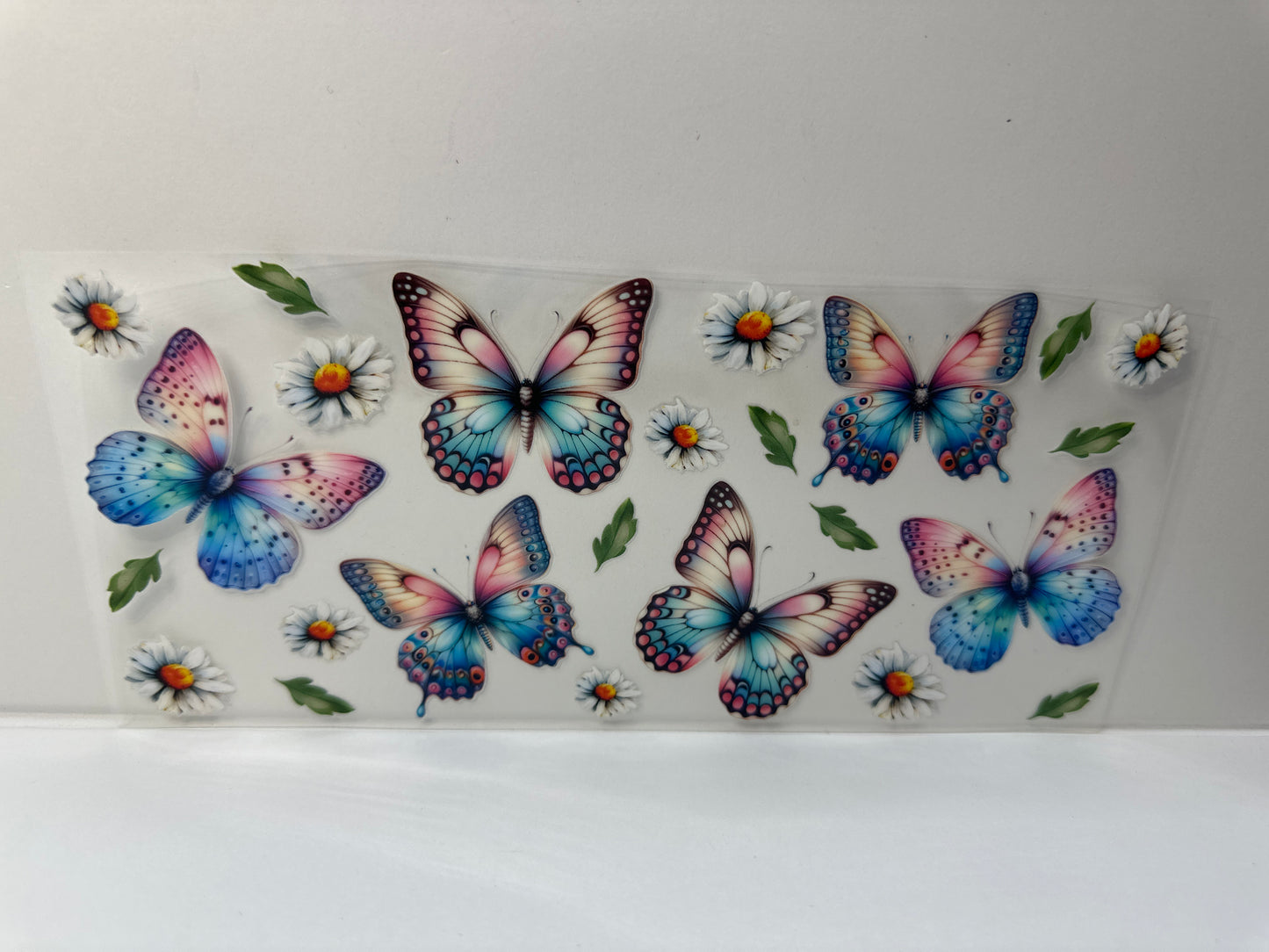 G391 ombre butterflies with daisies