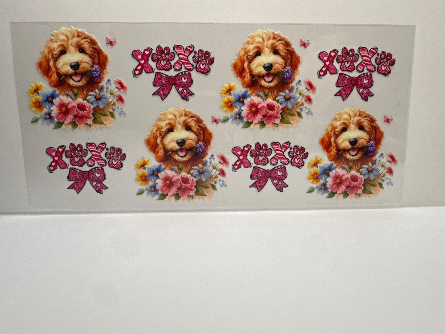 F400 doodle dog xoxo