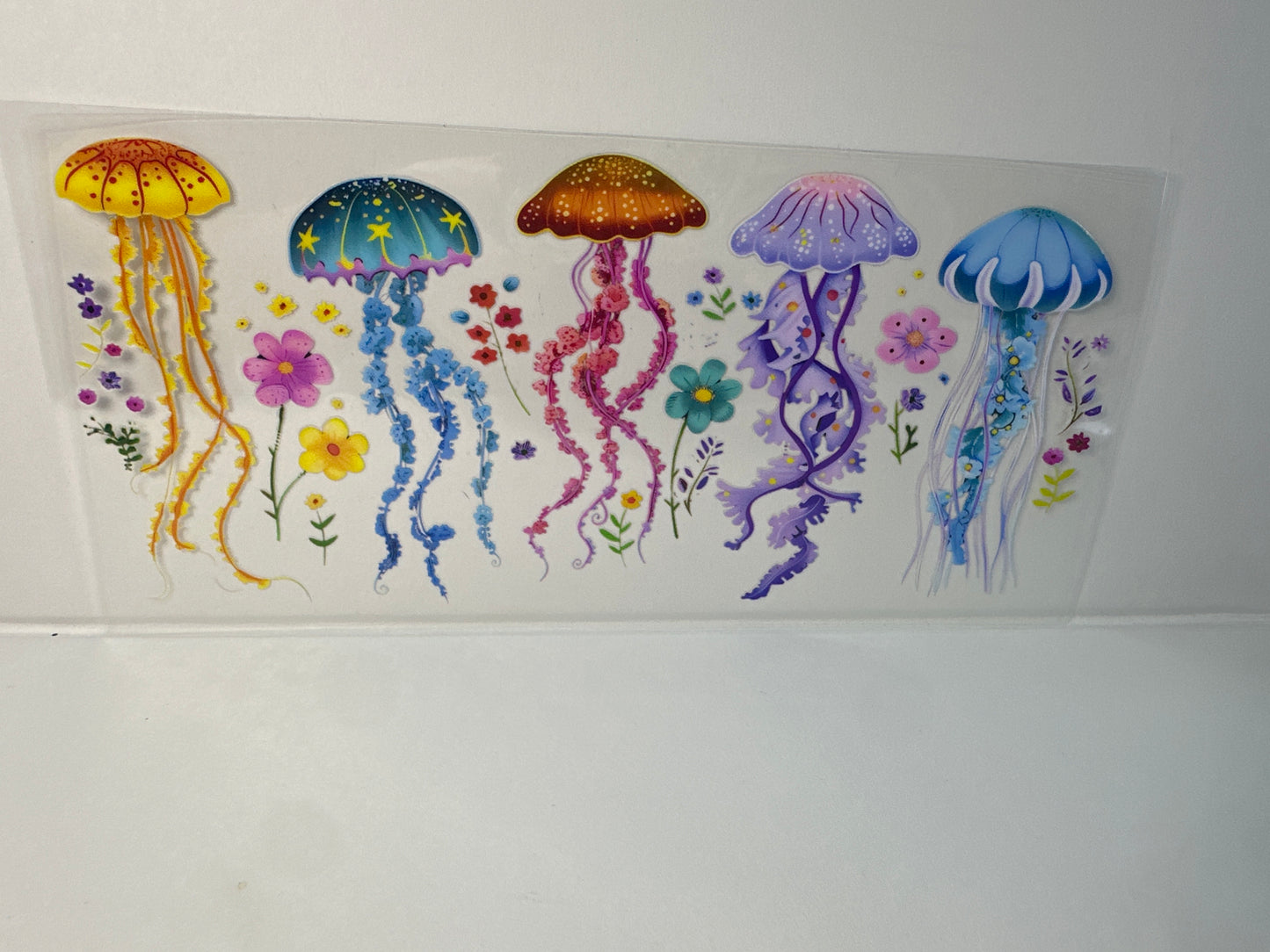 G83 jellyfish