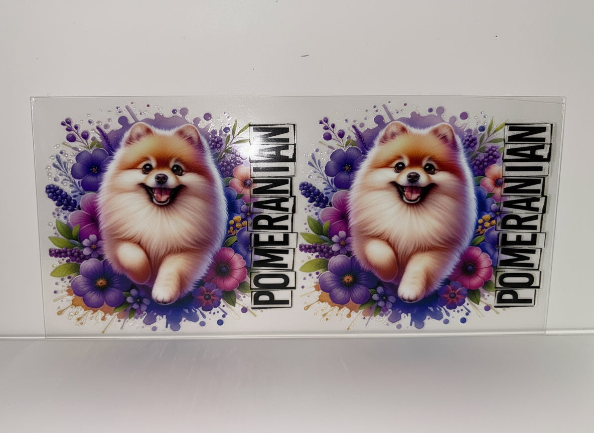 H601 Pomeranian