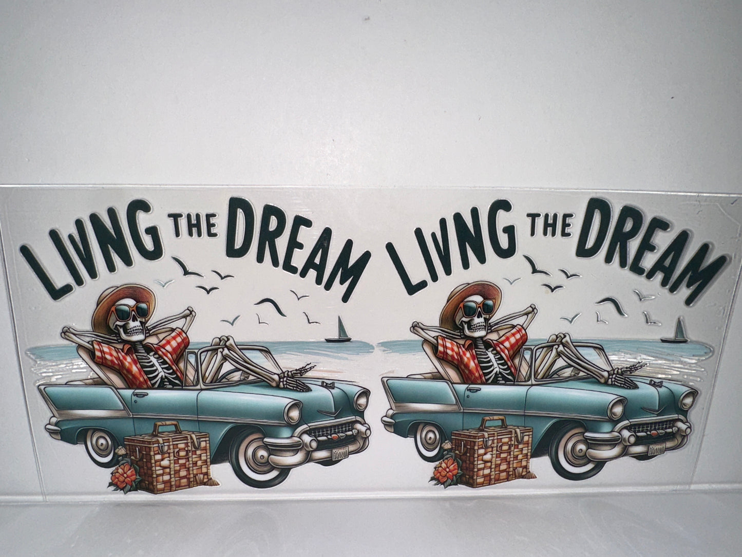 H262 living in the dream, sassy