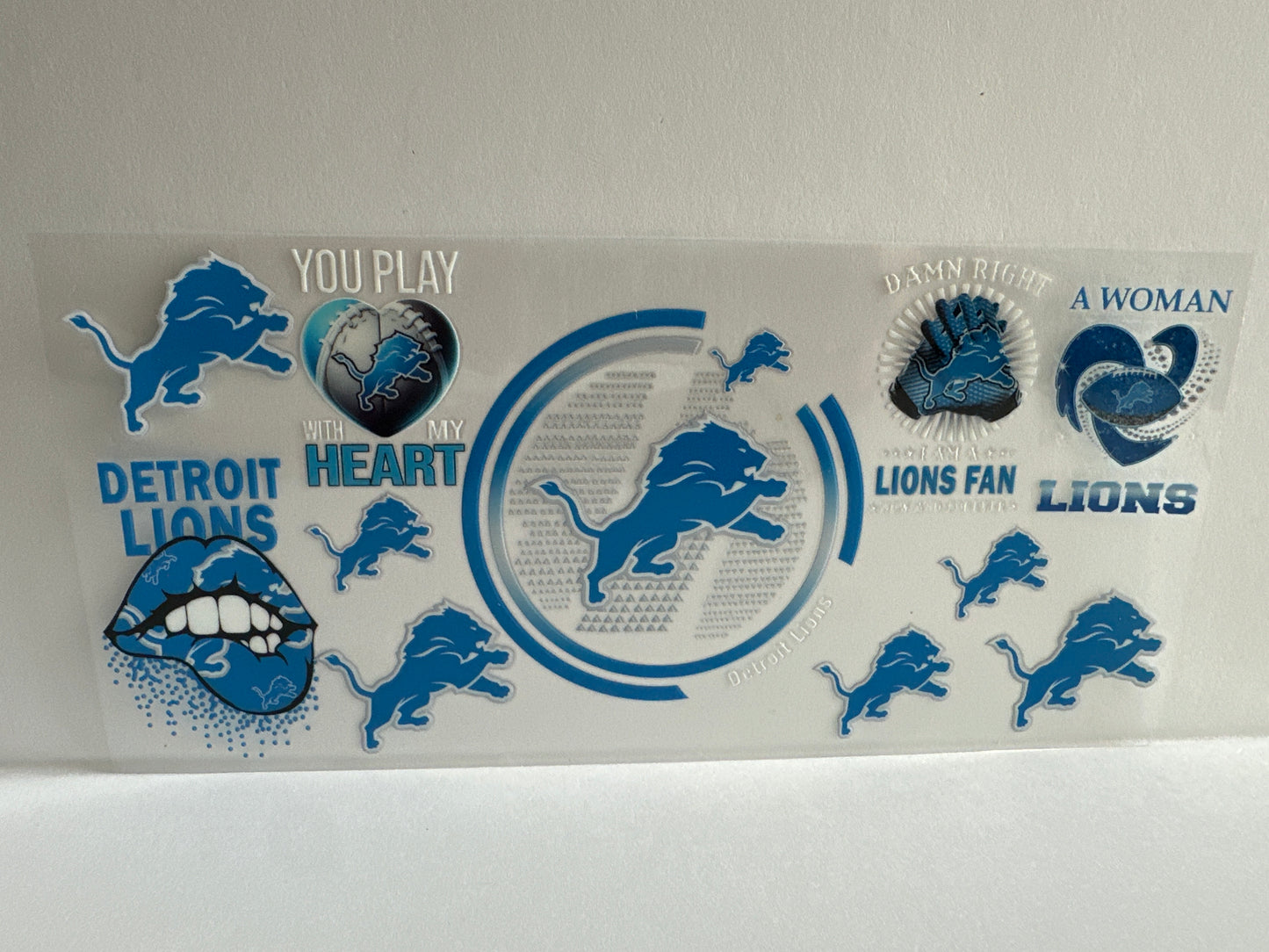 G798 NFL Football Lions