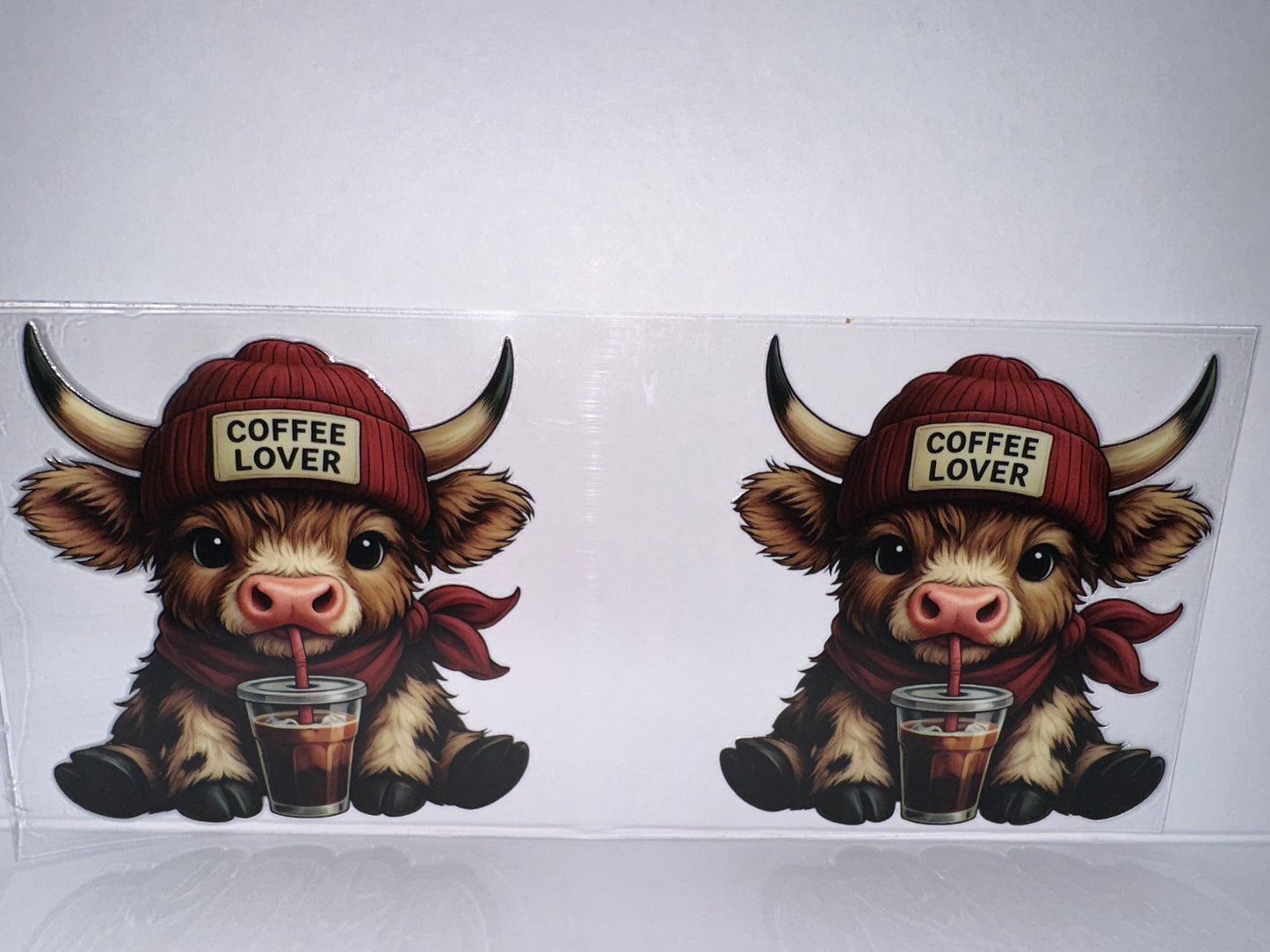 H2111 Coffee Lover Cow