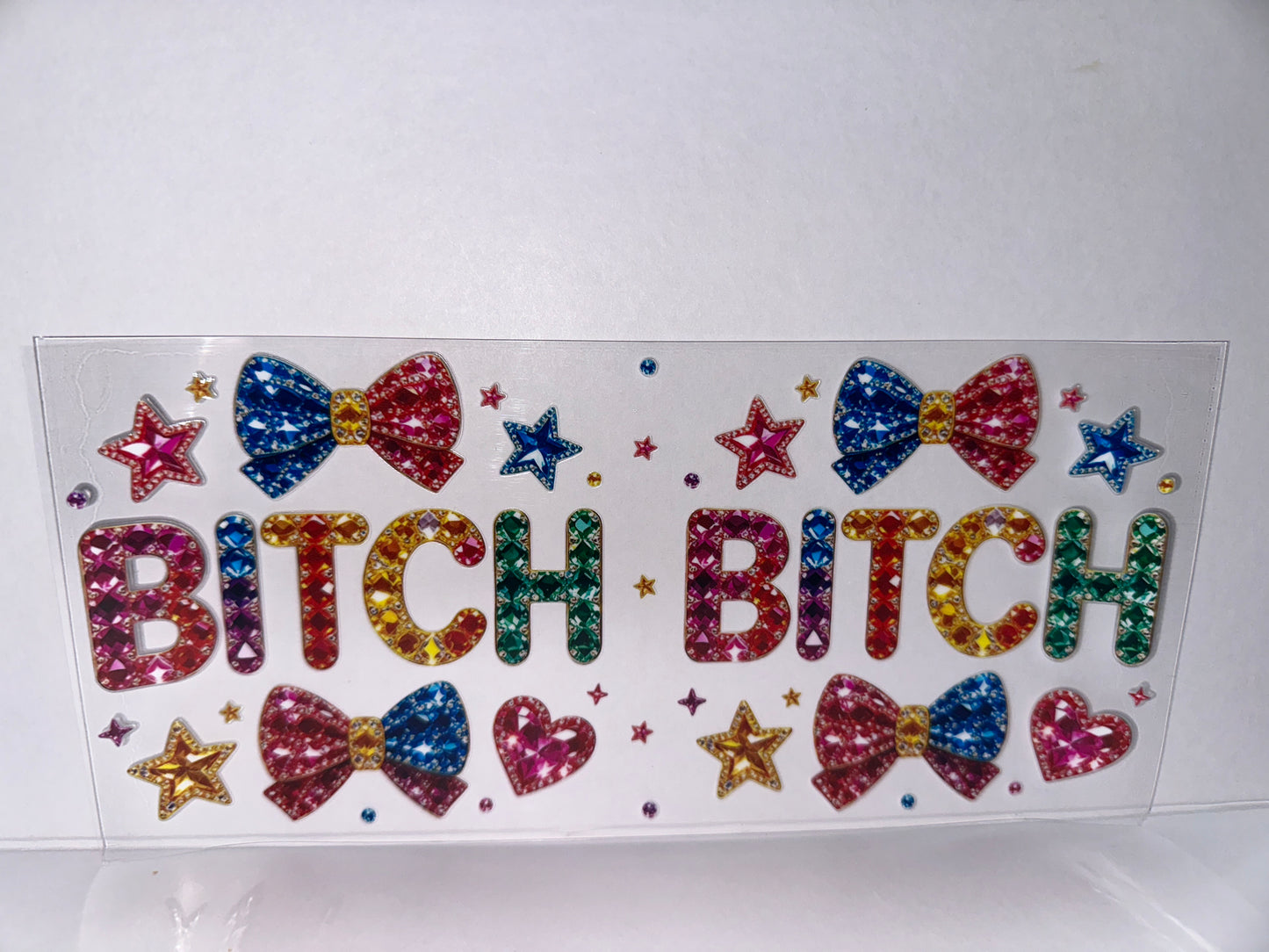 H2473 Bitch