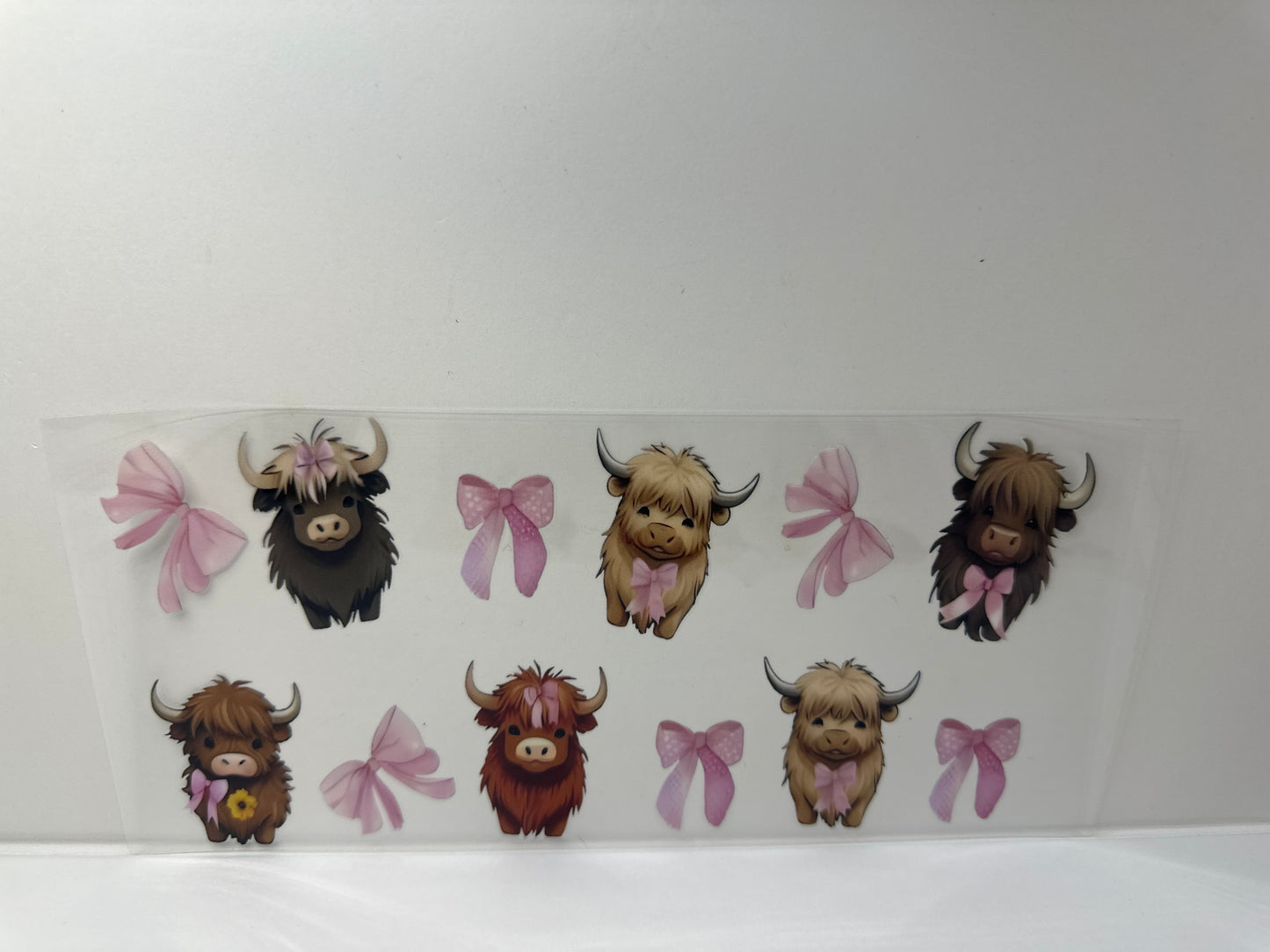 G495 cows with pink bows