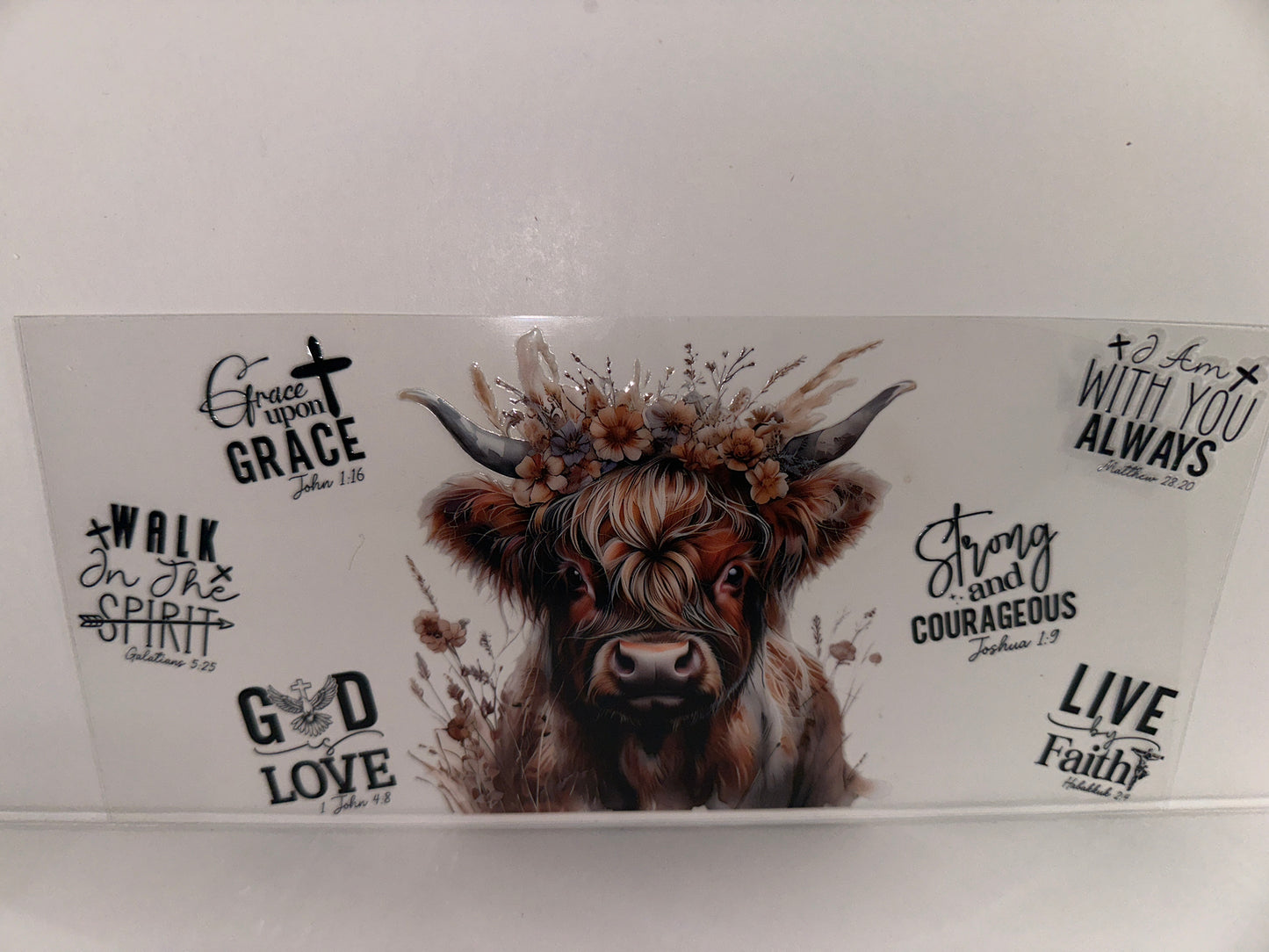 H138 affrimation cow