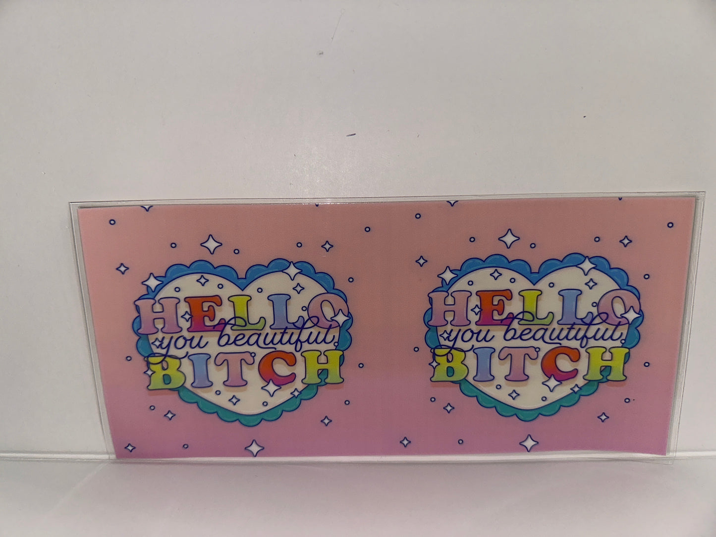 H318 Hello you beautiful bitch