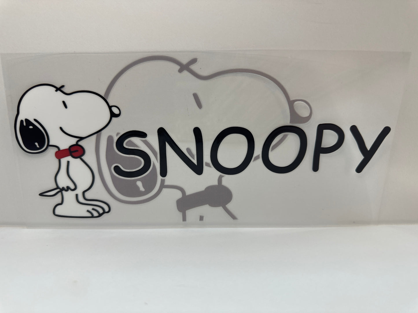 F842 snoopy