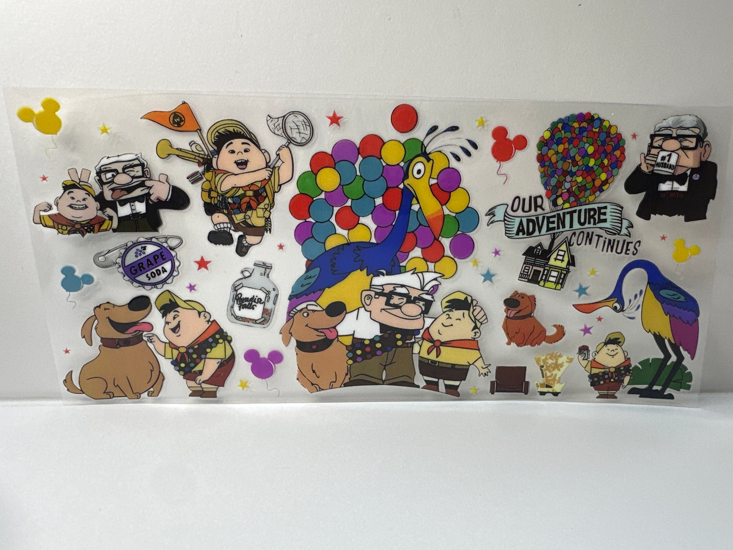 F670 Disney movie up