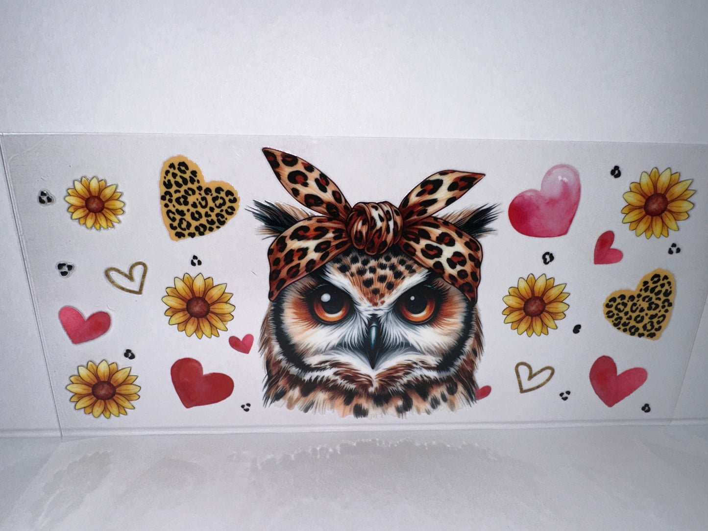 H1528 owl animals