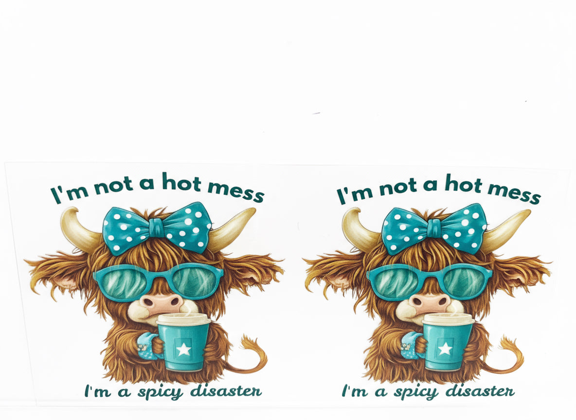 H444 i’m not a hot mess I’m a spicy disaster Cow