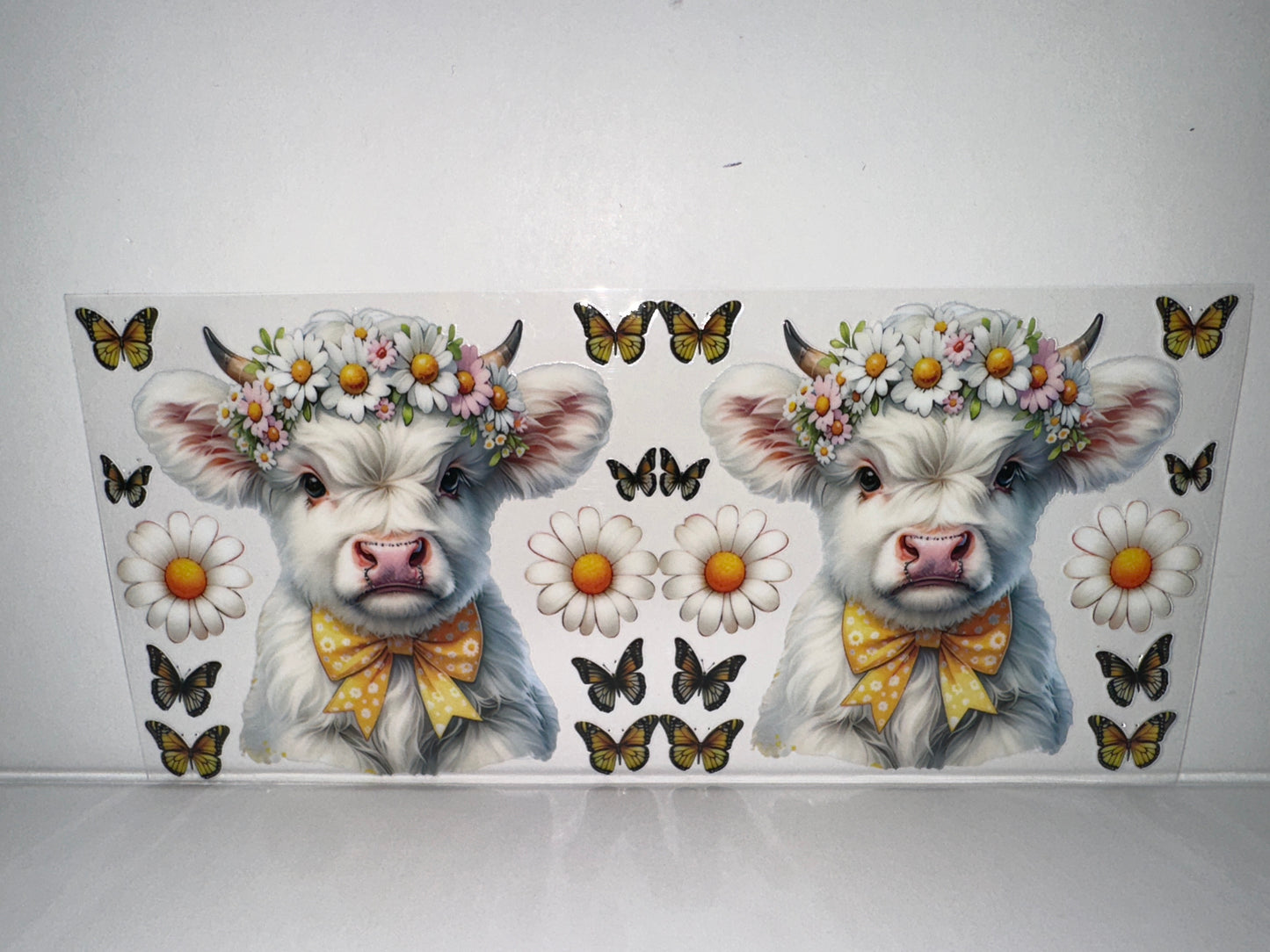 H464 white cow with flowers