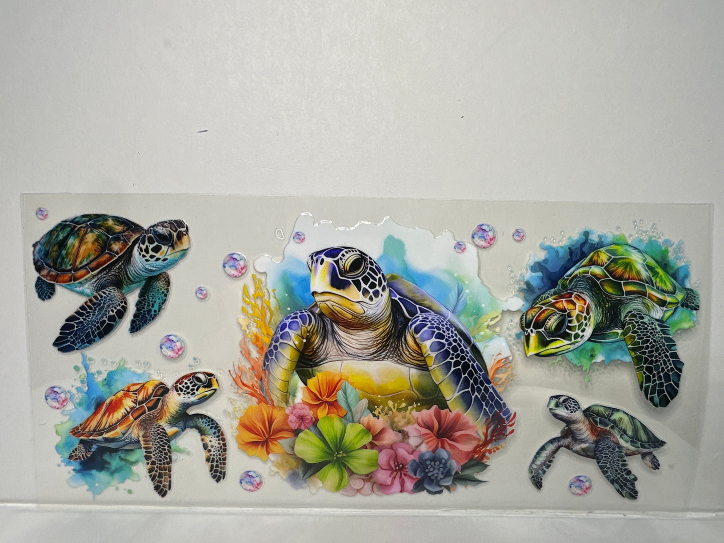 H1226 sea turtles