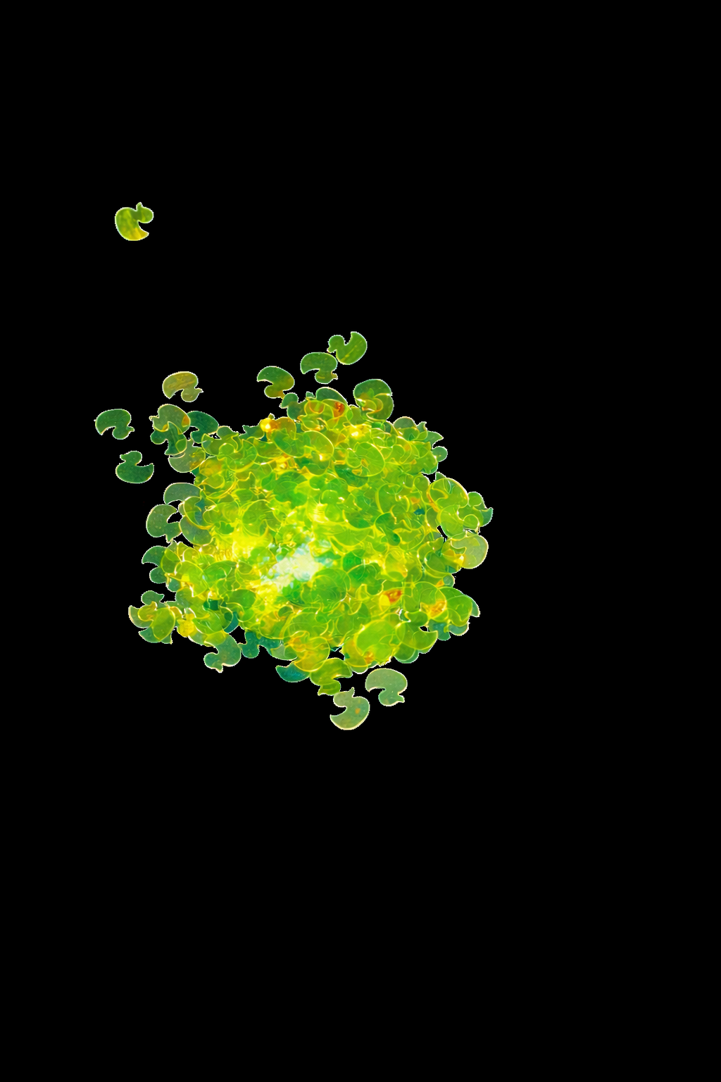 Neon Yellow Ducks– Shaped Glitter 8g | Luxy Customs