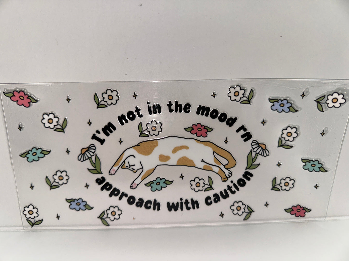 H266 I’m not in the mood, sassy