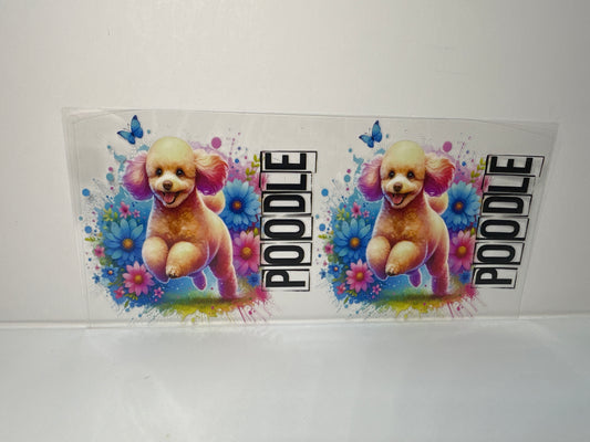 G335 poodle dog wrap