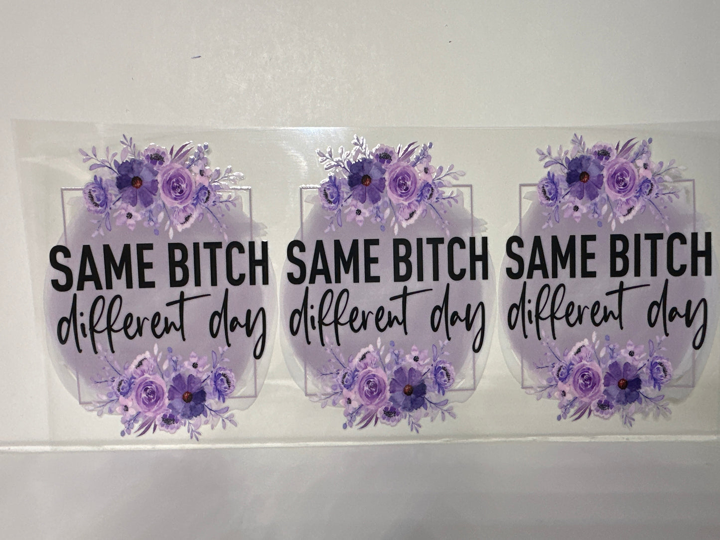 H1159 Same bitch different day