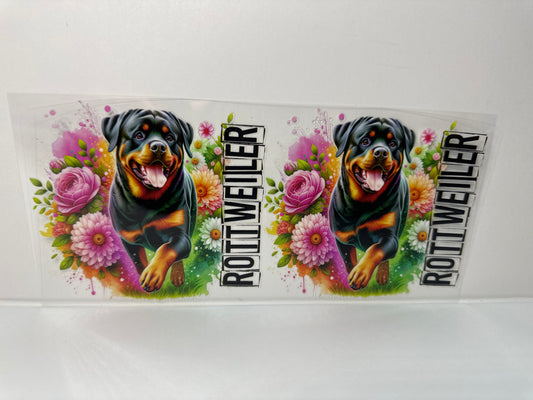 G340 Rottweiler Dog