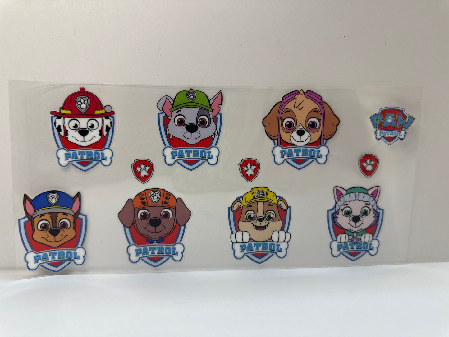 F621 paw patrol