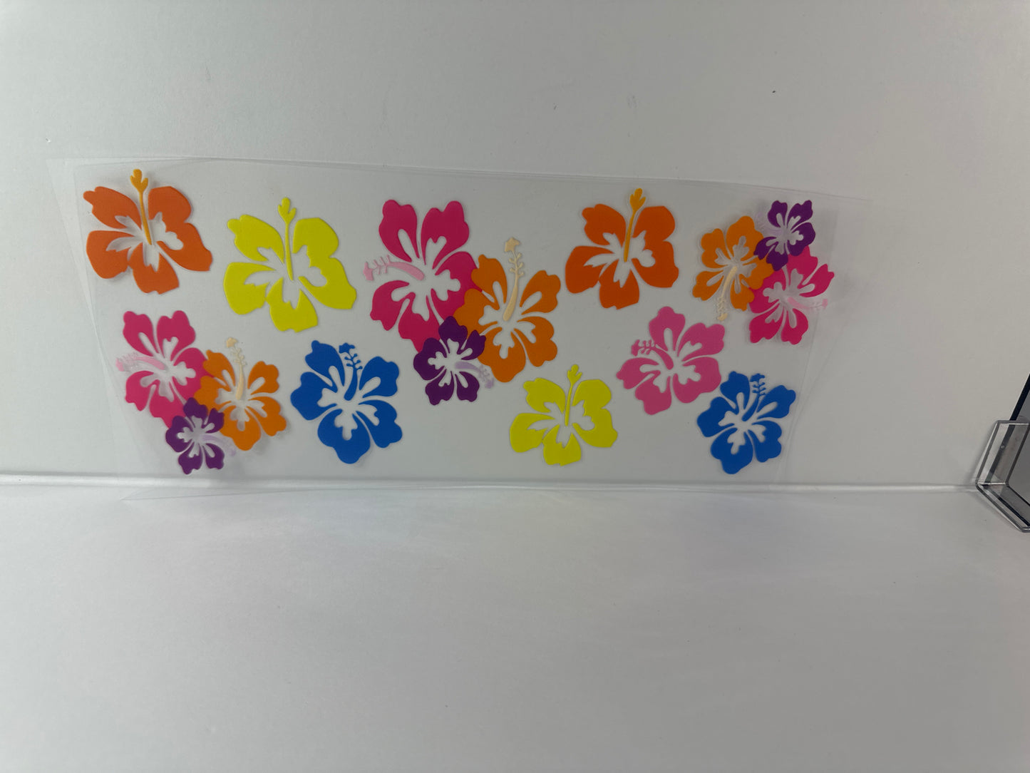 E12 hibiscus flowers