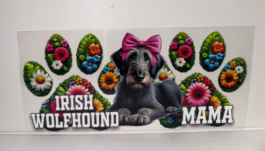 H622 Irish wolfhound