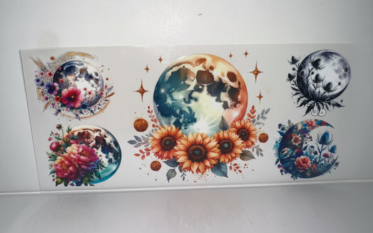 H765 planets with feathers and flowers