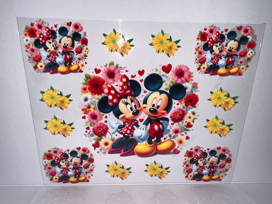 H2068 24oz Micky and Minnie