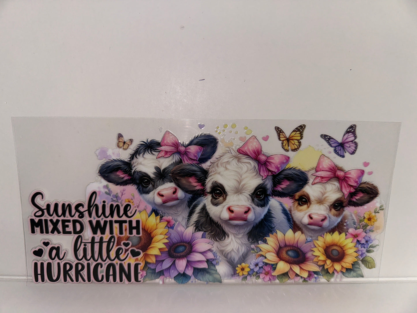 H456 sunshine mixed with a little hurricane cow