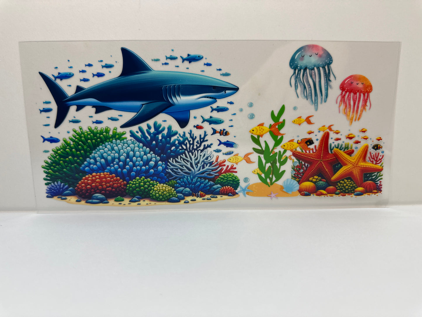 F388 shark reef jellyfish