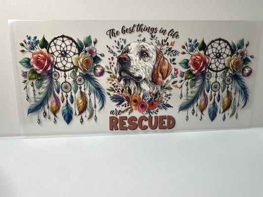 F694 the best things in life are rescued Dog
