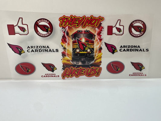 F517 NFL football Cardinals they not like us