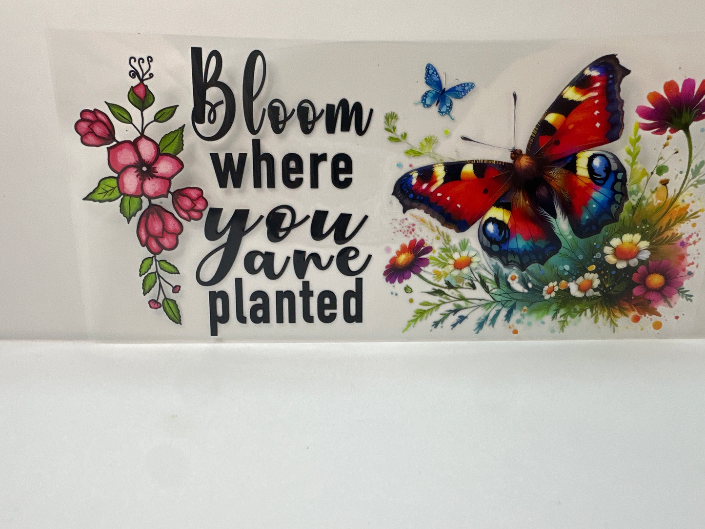 F863 Butterfly bloom where you are planted