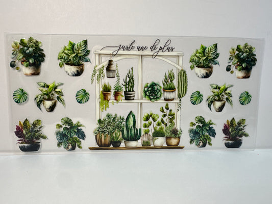 G324 plants