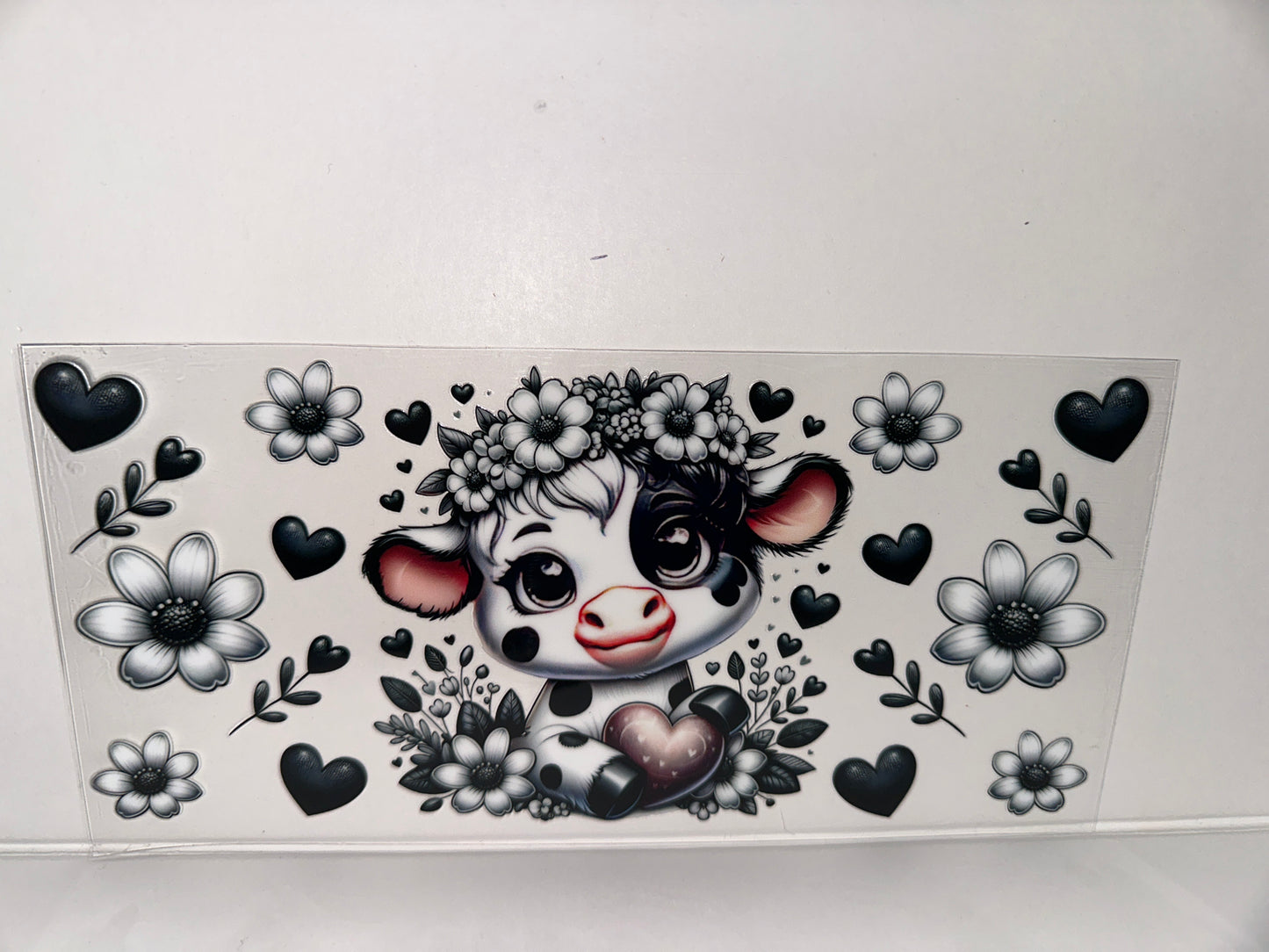 H451 Cow black and white