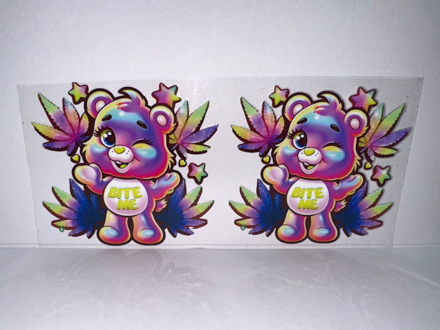 H2608 Swear Bear