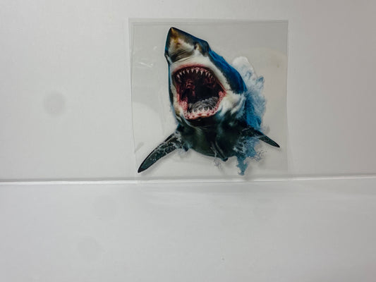 E206 Shark