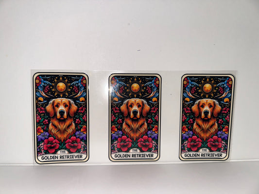 H634 Golden Retriever