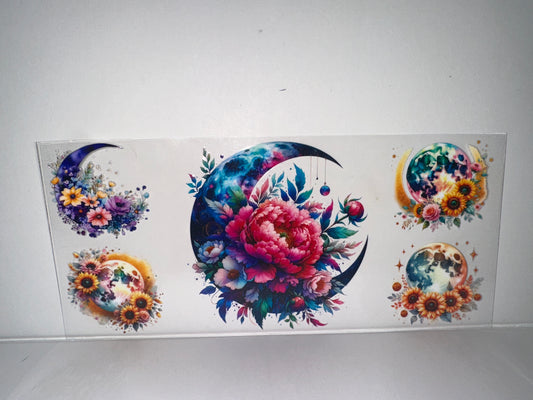 H766 planets with feathers and flowers