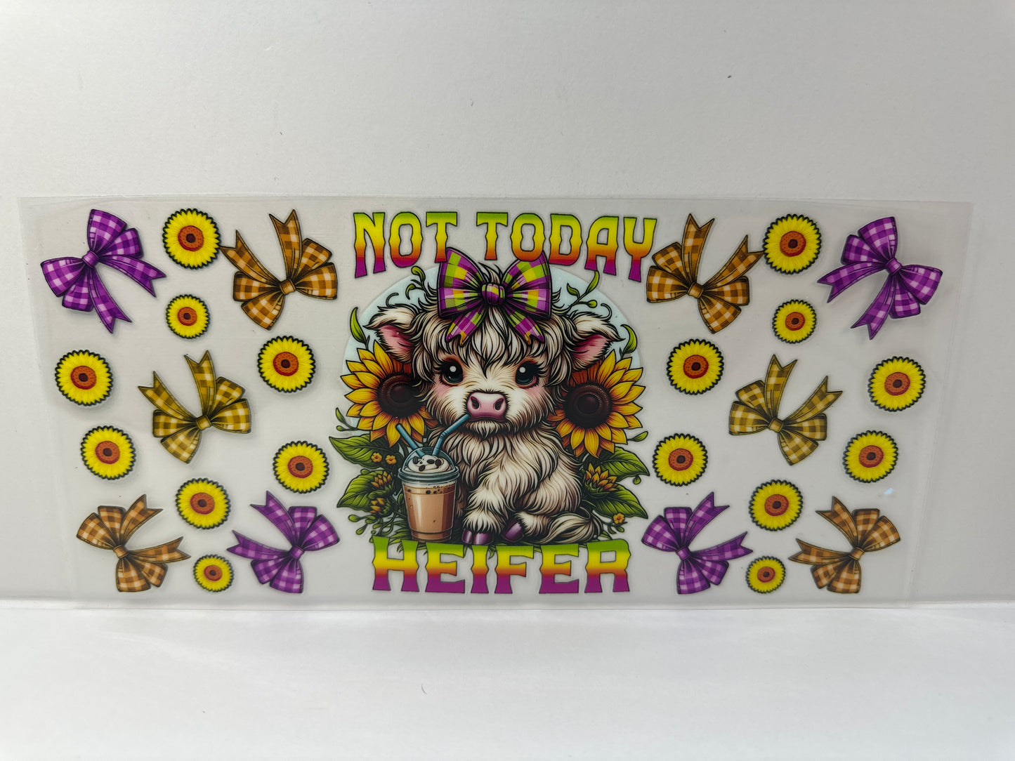 G494 not today heifer cow