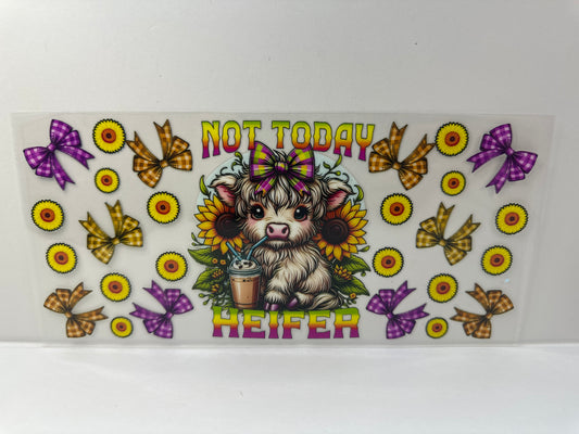 G494 not today heifer cow