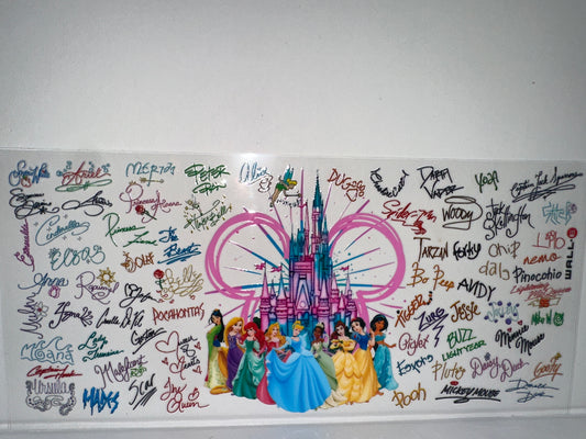 G1195 Disney Cinderella’s castle with princesses