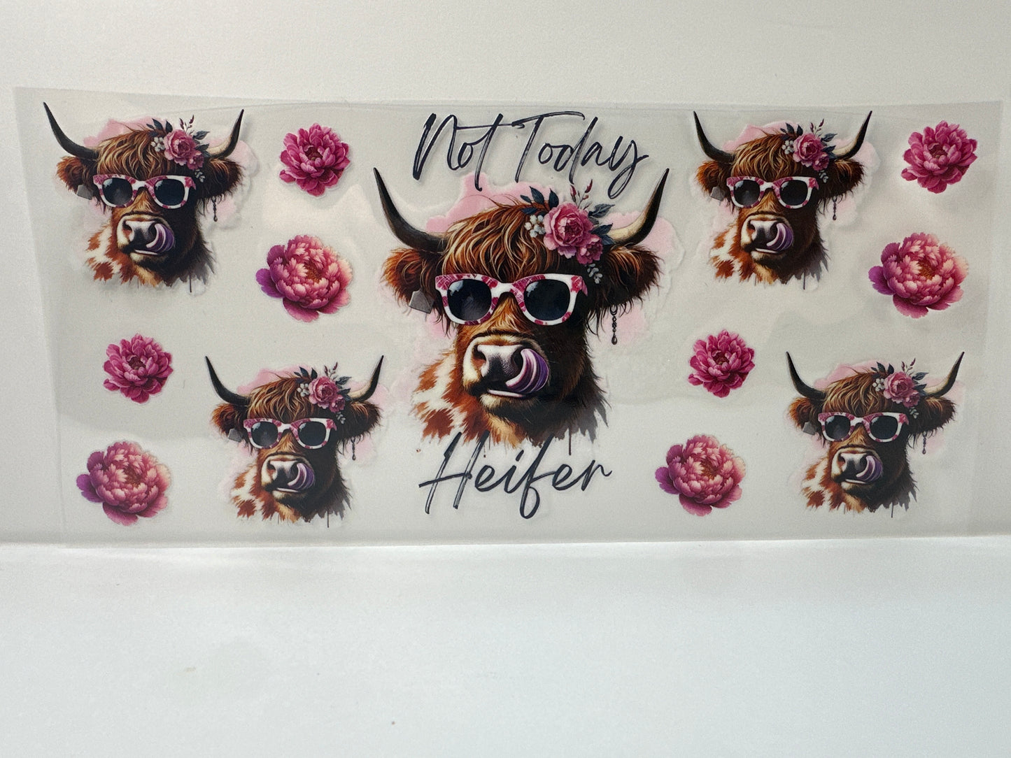 F845 not today heifer cow