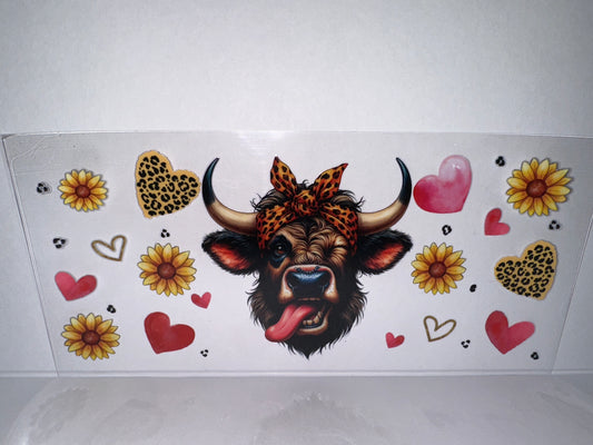 H1530 cow  animals