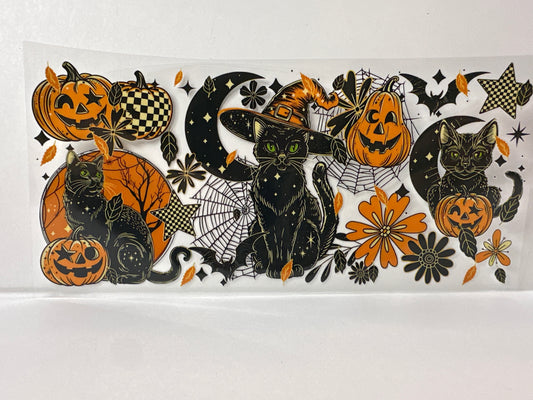 G737 black cat with pumpkin Halloween