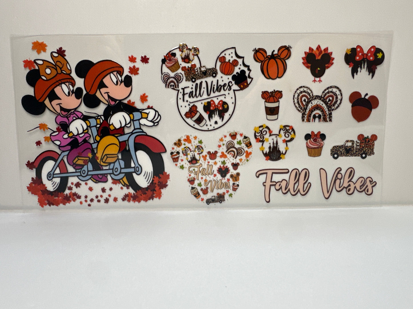 F400 Mickey and Minnie fall vibes