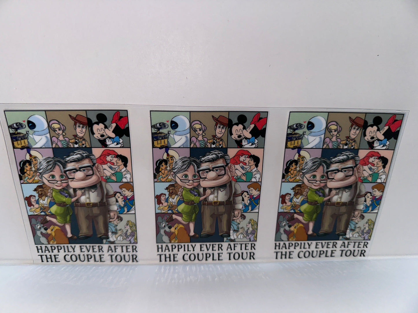 G1194 Disney happily ever after a couple tour